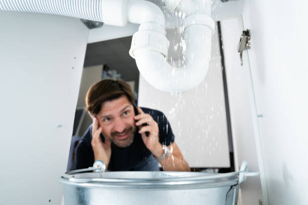 Best Local Plumber Services  in Safety Harbor, FL