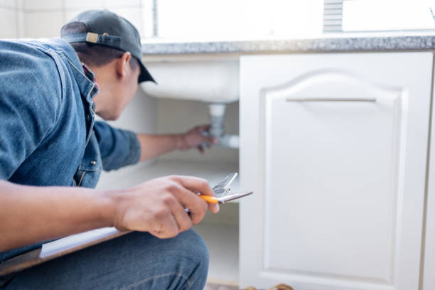 Best Water Softener Installation  in Safety Harbor, FL