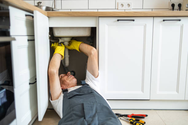 Best Plumbing Services Near Me  in Safety Harbor, FL
